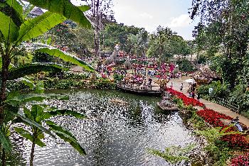 Mae Fah Luang Garden mit Fotos von von Gerhard Veer - Bild 5 - mit freundlicher Genehmigung von Veer 