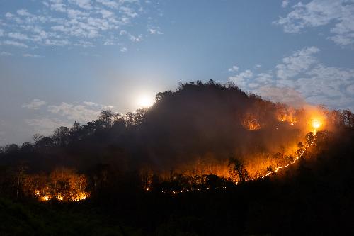 Bild 1.290 Beamte zur Prvention von Waldbrnden und Brandrodungen