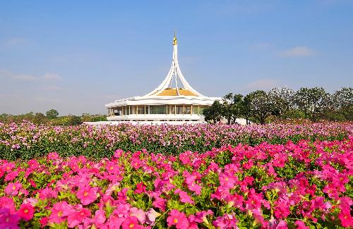 Bild Blumen-Festival im Suan Luang Rama IX Park Bangkok
