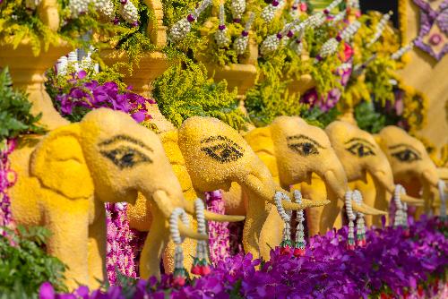 Bild Das bezaubernde Chiang Mai Blumenfest