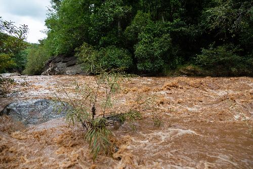 Bild Intensiver Regen bringt Tod und Zerstrung nach Sdthailand