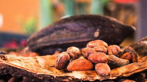 Bild Thailands Kakao und Schokolade