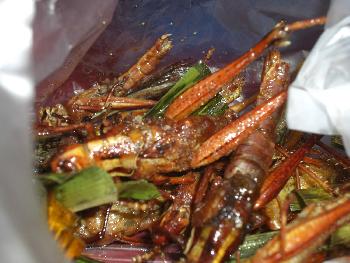Thailand - Insekten als Nahrung  - Reportagen & Dokus - Bild 3