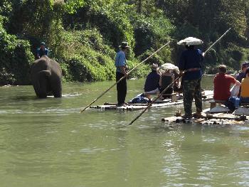 Zoom Elefanten im Fluss - Flsser
