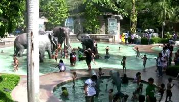 Dusit Zoo II - Bangkok Video