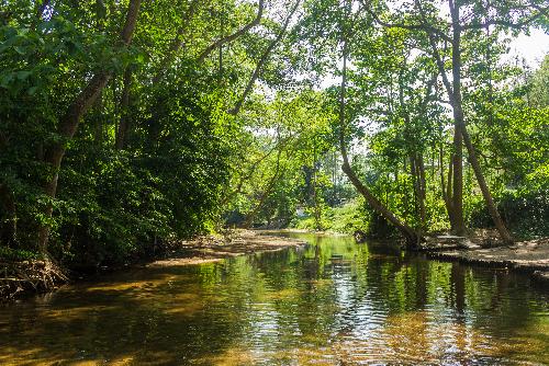 Provinz Ratchaburi - Zentralthailand - Bild 2 - by Depositphotos