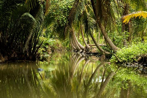 Provinz Samut-Songkram - Nordthailand - Bild 4 - by Depositphotos