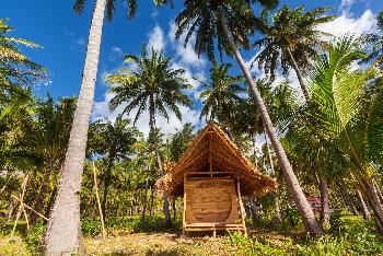 Beach Bungalows frher und heute - Bild 3