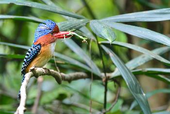 Bezaubernde Natur - Bild 5 - mit freundlicher Genehmigung von Depositphotos 