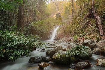 Bezaubernde Natur - Bild 6 - mit freundlicher Genehmigung von Depositphotos 