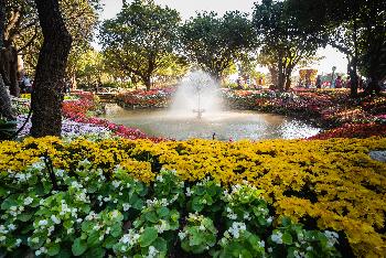 Blumenpracht im Chaloem Phrakiat Park - Gerhard Veer - Bild 9 - mit freundlicher Genehmigung von Veer 