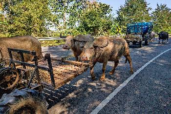Chiang Khan von Gerhard Veer - Bild 4 - mit freundlicher Genehmigung von Veer