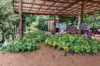 Chiang Khan von Gerhard Veer - Bild 8 - mit freundlicher Genehmigung von Veer