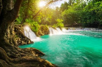 Khao Yai Nationalpark - Bild 1