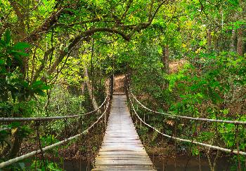 Khao Yai Nationalpark - Bild 2