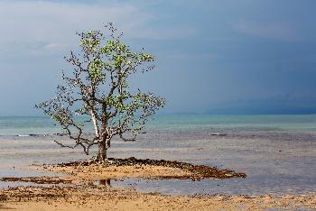 Koh Mak - Bilder von Gehrad Veer - Bild 7 - mit freundlicher Genehmigung von Depositphotos 