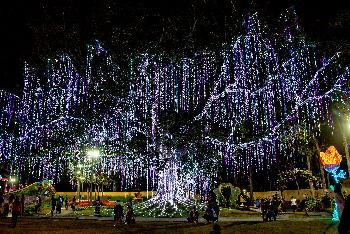 Nacht im PAO Park - Bilder von Gerhard Veer - Bild 2 - mit freundlicher Genehmigung von Veer 