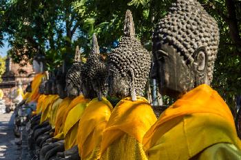 Sehenswertes in Ayutthaya - Bild 3 - mit freundlicher Genehmigung von Richard Barrow 