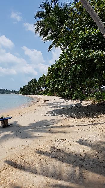 Taling Ngam Beach Samui West - Bild 4