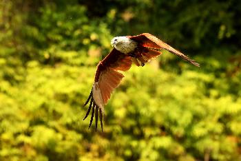 Thailands atemberaubende Nationalparks - Bild 3