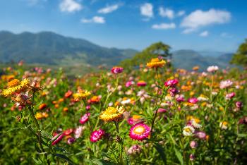 Thailands landschaftliche Schnheit - Bild 3