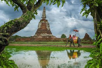 Wat Maha That Ayutthaya - Bild 1 - mit freundlicher Genehmigung von Depositphotos