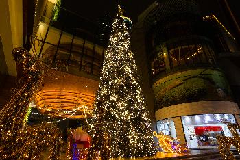 Weihnachten in Thailand - Bild 5 - mit freundlicher Genehmigung von Depositphotos 