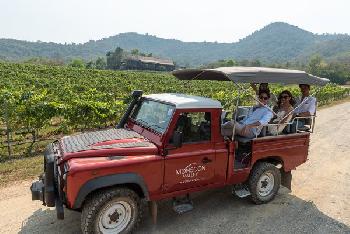 Wein Erntefestival in Hua Hin - Bild 6