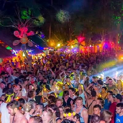 Jungle Experience Festival