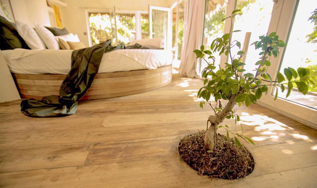 Somewhere Only We Know - Koh Phangan Villa am Strand Bild 3 Somewhere Only We Know - Koh Phangan Villa am Strand Bild 3