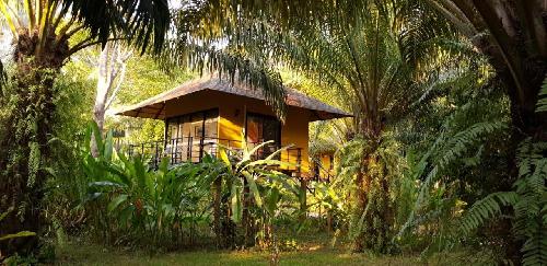 Bild Ausgezeichnet: Anurak Lodge im Khao Sok Nationalpark