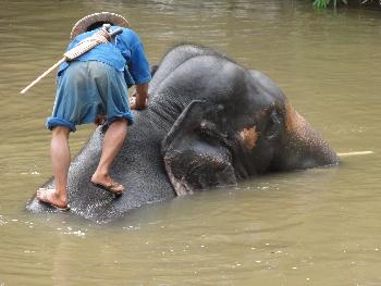 Bergdrfer, Tempel und Elefanten Thailand