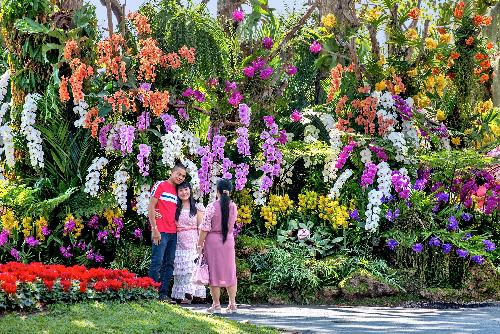 Charming Chiang Mai Flower Festival - Veranstaltungen - Bild 1  Gerhard Veer