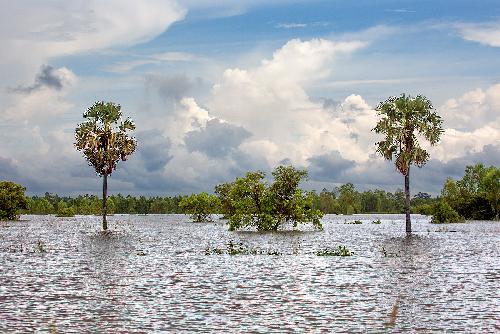 Chiang Rai: Regenflle fhren zu Todesfllen und berflutungen - Reisenews Thailand - Bild 1  Gerhard Veer