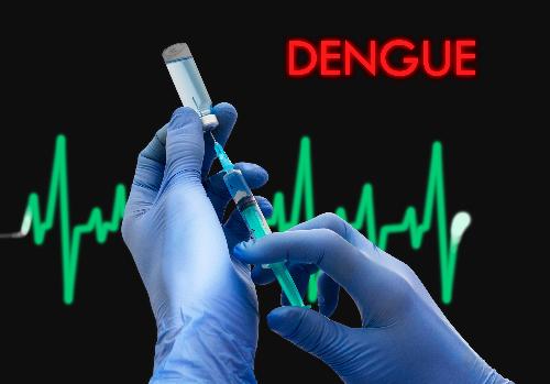 Bild Dengue Impfung für Thailand - Fragen und Antworten