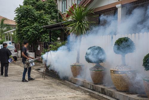 Bild Dengue-Fieber in Thailand: Ein eskalierendes Problem