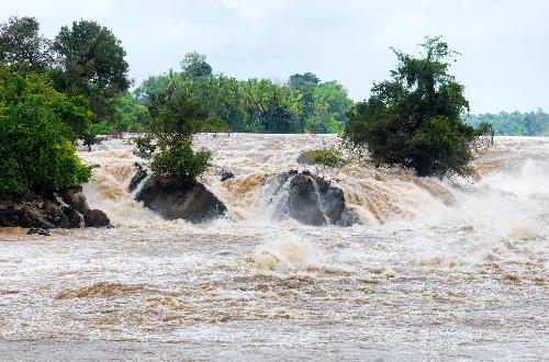 Bild Flut-News - Verheerende Flutkatastrophe in Nordthailand