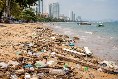Bild Jomtien Beach Pattaya und der Müll