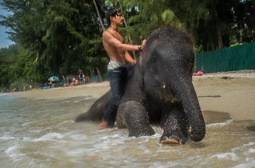 Nationaler Elefantentag in Thailand Thailand