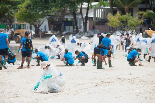 Bild Phuket startet massive Strandreinigung nach Unwetter