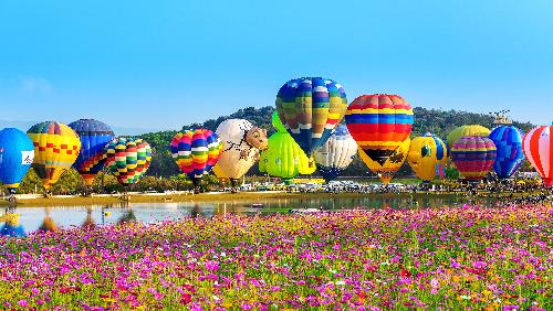 Bild Singha Park Balloon Fiesta - Spektakel der Extraklasse