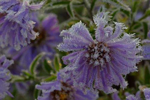 Thailand Wetterwarnungen - Klte, Regen und Nebel - Reisenews Thailand - Bild 2