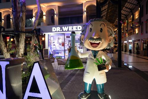 Bild Thailand will Cannabis wieder strenger kontrollieren