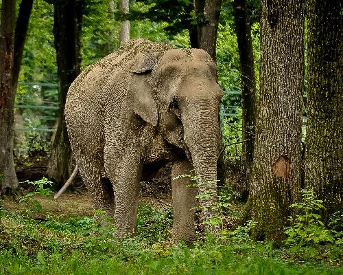 Bild Tierschutz und Besuchersicherheit: Nationalpark setzt neue Standards