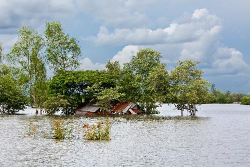 Bild Touristen von der Auenwelt abgeschnitten und gerettet