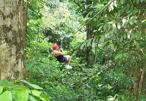 Bild Tragdie - Touristin beim Ziplining tdlich verunglckt