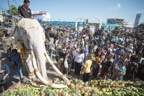 Bild Wan Chang Thai - der thailändische Tag des Elefanten