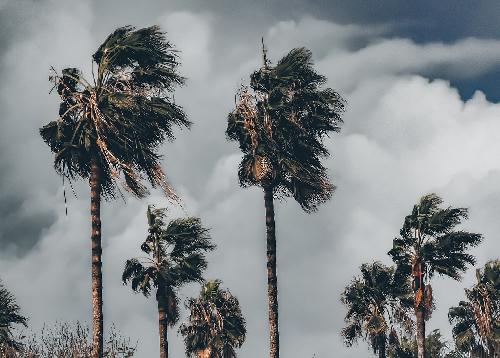 Bild Wetterwarnung Thailand: Klte, Sturm und hohe Wellen voraus