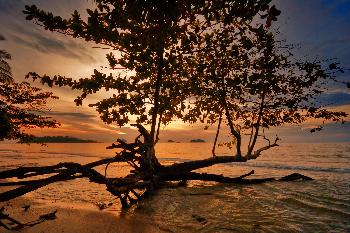 Zoom  Am Abend Koh Chang - 2