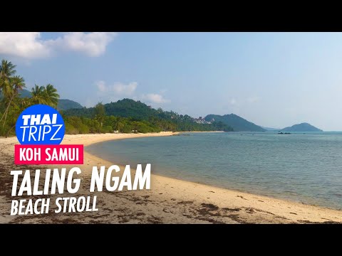 Video Taling Ngam Beach - Koh Samui